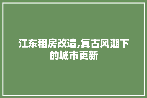 江东租房改造,复古风潮下的城市更新