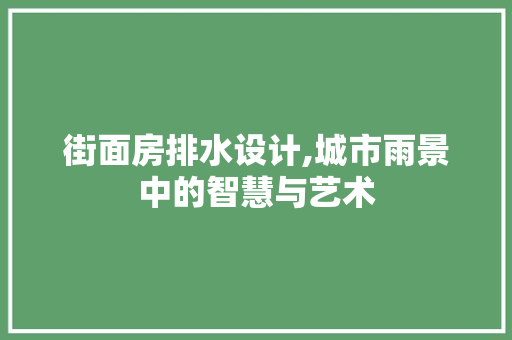 街面房排水设计,城市雨景中的智慧与艺术