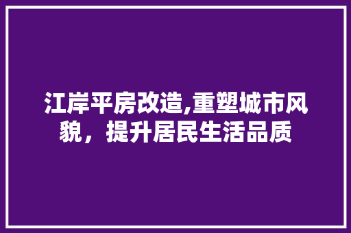 江岸平房改造,重塑城市风貌，提升居民生活品质