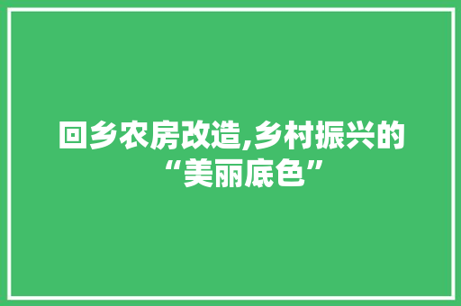 回乡农房改造,乡村振兴的“美丽底色”