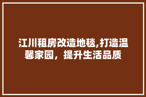 江川租房改造地毯,打造温馨家园，提升生活品质