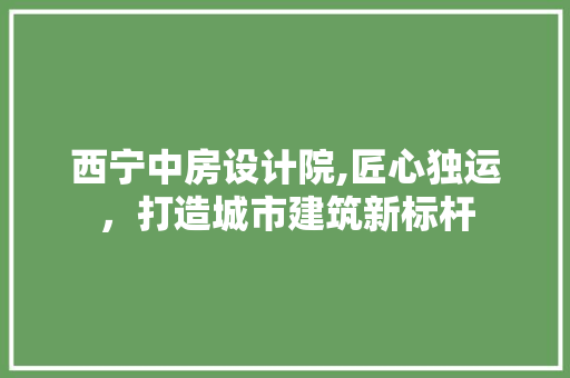 西宁中房设计院,匠心独运，打造城市建筑新标杆