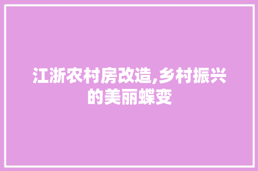 江浙农村房改造,乡村振兴的美丽蝶变