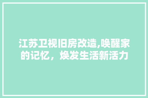 江苏卫视旧房改造,唤醒家的记忆，焕发生活新活力
