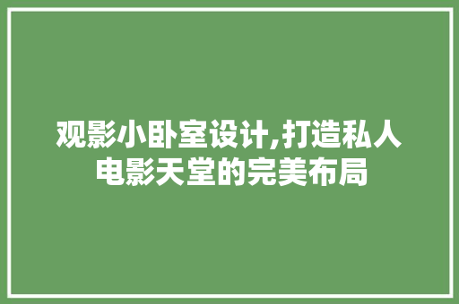 观影小卧室设计,打造私人电影天堂的完美布局