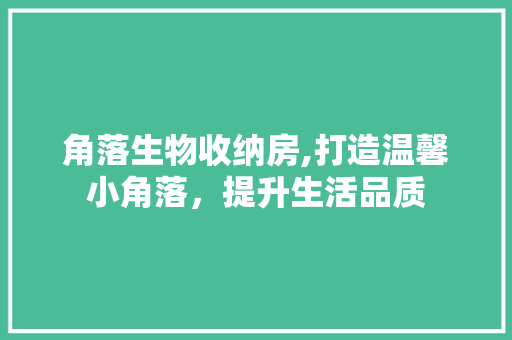 角落生物收纳房,打造温馨小角落，提升生活品质