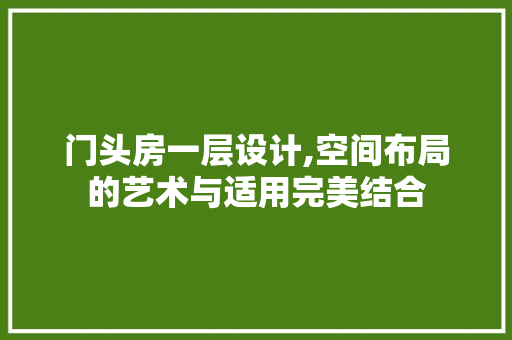 门头房一层设计,空间布局的艺术与适用完美结合