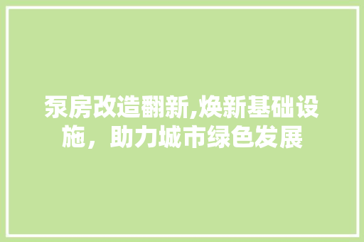 泵房改造翻新,焕新基础设施，助力城市绿色发展