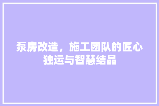 泵房改造，施工团队的匠心独运与智慧结晶