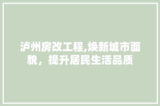 泸州房改工程,焕新城市面貌，提升居民生活品质
