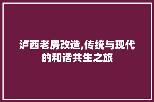 泸西老房改造,传统与现代的和谐共生之旅