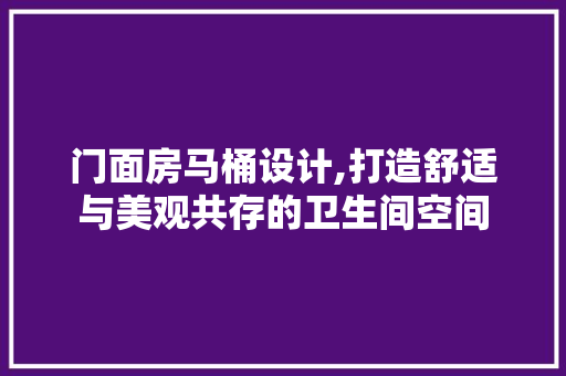 门面房马桶设计,打造舒适与美观共存的卫生间空间
