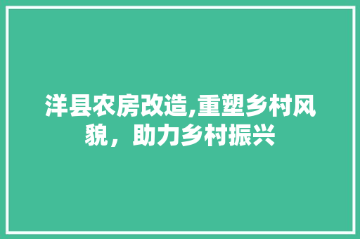 洋县农房改造,重塑乡村风貌，助力乡村振兴
