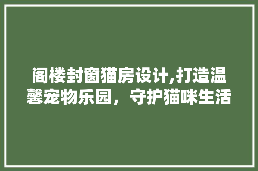 阁楼封窗猫房设计,打造温馨宠物乐园，守护猫咪生活品质