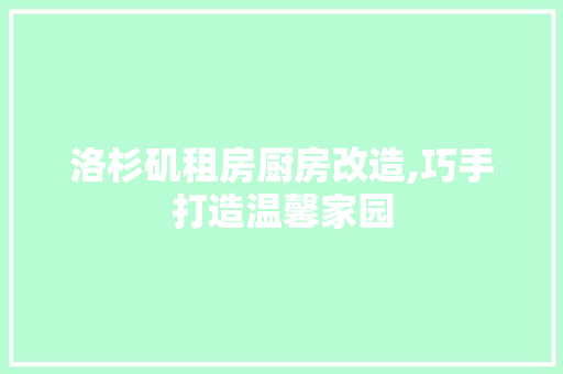 洛杉矶租房厨房改造,巧手打造温馨家园