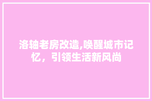 洛轴老房改造,唤醒城市记忆，引领生活新风尚