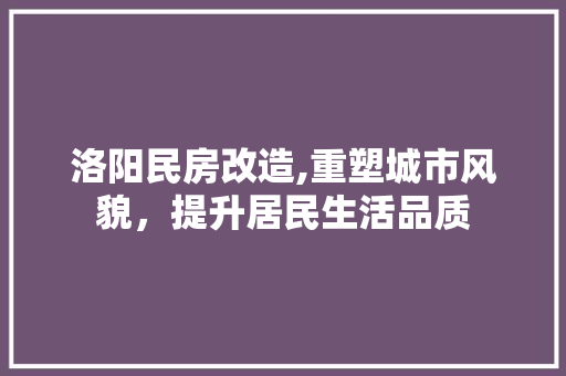 洛阳民房改造,重塑城市风貌，提升居民生活品质