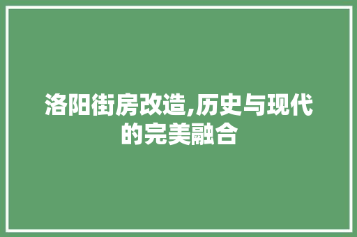洛阳街房改造,历史与现代的完美融合