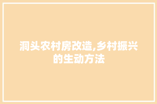 洞头农村房改造,乡村振兴的生动方法
