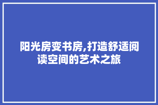 阳光房变书房,打造舒适阅读空间的艺术之旅