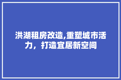 洪湖租房改造,重塑城市活力，打造宜居新空间