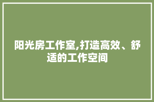 阳光房工作室,打造高效、舒适的工作空间