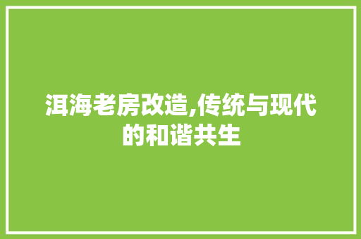 洱海老房改造,传统与现代的和谐共生