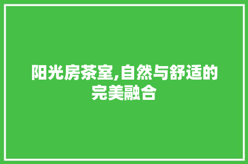 阳光房茶室,自然与舒适的完美融合