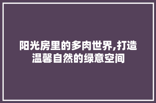 阳光房里的多肉世界,打造温馨自然的绿意空间