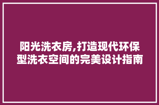 阳光洗衣房,打造现代环保型洗衣空间的完美设计指南