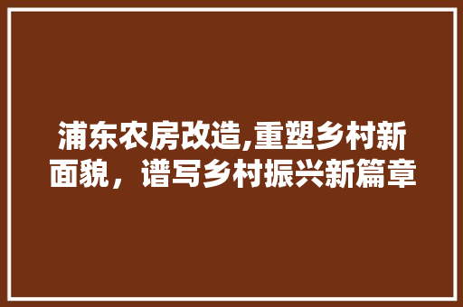 浦东农房改造,重塑乡村新面貌，谱写乡村振兴新篇章