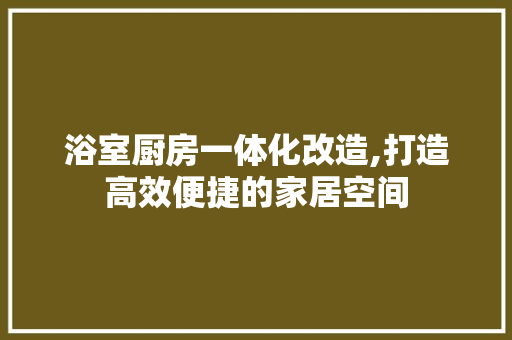 浴室厨房一体化改造,打造高效便捷的家居空间