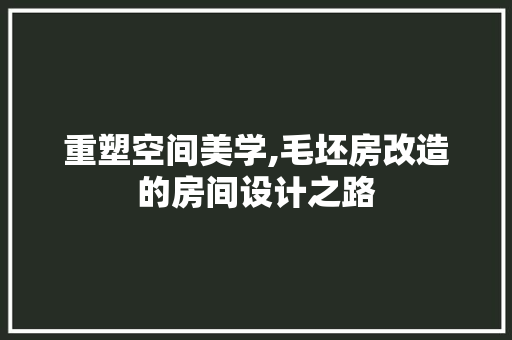 重塑空间美学,毛坯房改造的房间设计之路