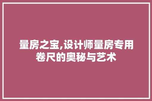 量房之宝,设计师量房专用卷尺的奥秘与艺术