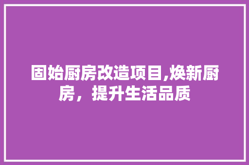 固始厨房改造项目,焕新厨房，提升生活品质