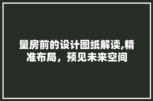 量房前的设计图纸解读,精准布局，预见未来空间