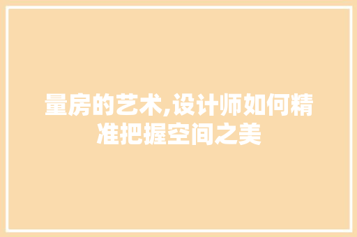 量房的艺术,设计师如何精准把握空间之美