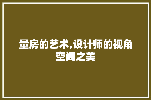 量房的艺术,设计师的视角空间之美