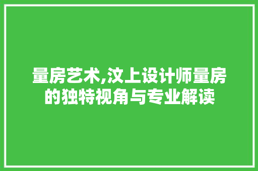 量房艺术,汶上设计师量房的独特视角与专业解读