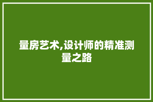 量房艺术,设计师的精准测量之路