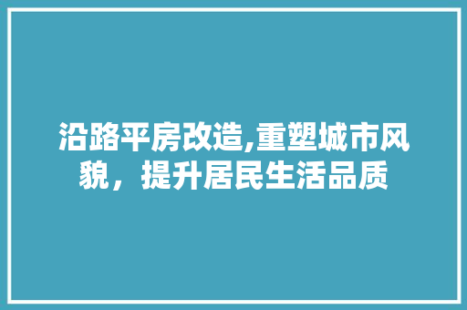 沿路平房改造,重塑城市风貌，提升居民生活品质