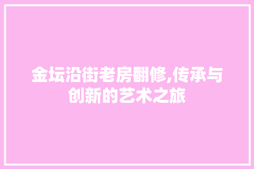 金坛沿街老房翻修,传承与创新的艺术之旅