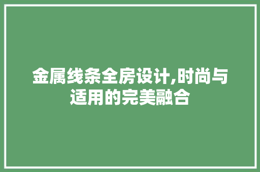 金属线条全房设计,时尚与适用的完美融合