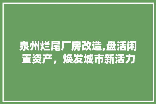 泉州烂尾厂房改造,盘活闲置资产，焕发城市新活力