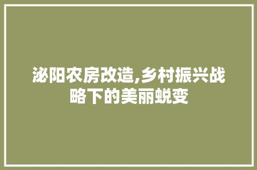 泌阳农房改造,乡村振兴战略下的美丽蜕变