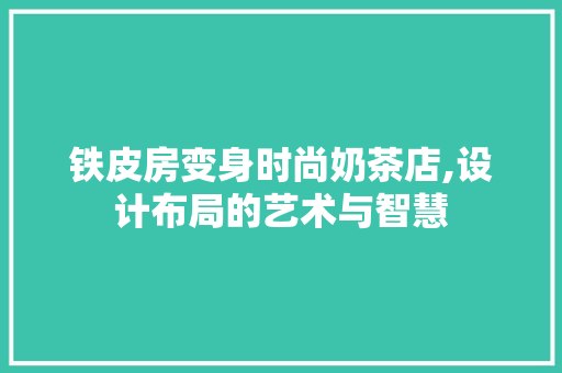 铁皮房变身时尚奶茶店,设计布局的艺术与智慧
