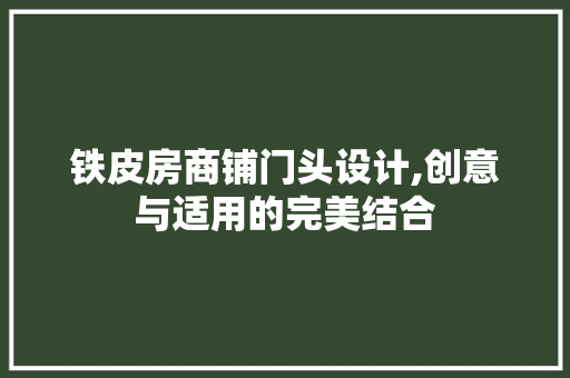 铁皮房商铺门头设计,创意与适用的完美结合