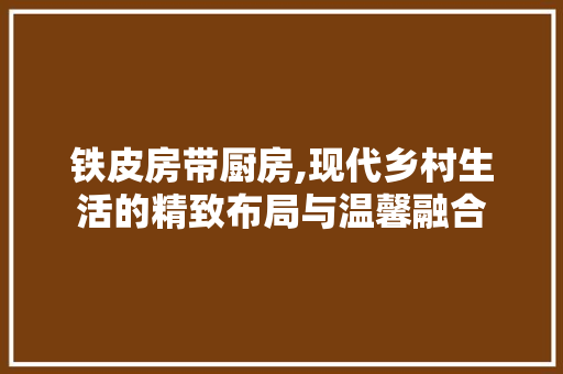 铁皮房带厨房,现代乡村生活的精致布局与温馨融合