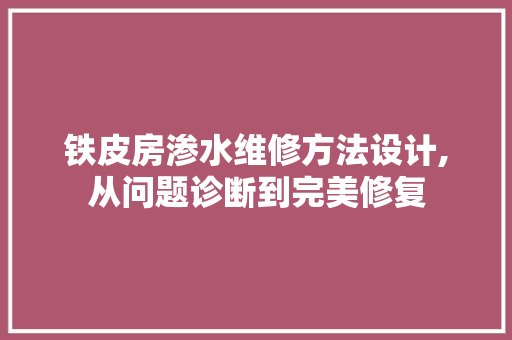 铁皮房渗水维修方法设计,从问题诊断到完美修复