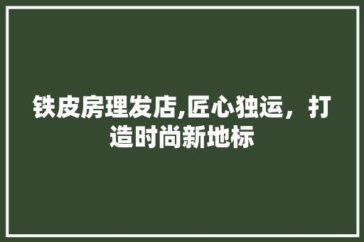 铁皮房理发店,匠心独运，打造时尚新地标